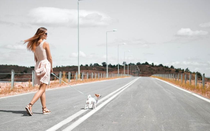 Femeie care se plimbă pe stradă cu un câine